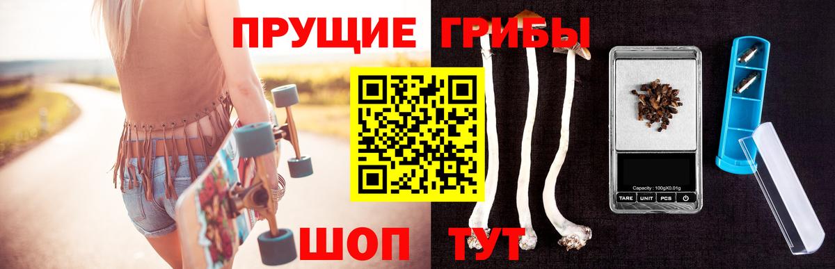 Псилоцибиновые грибы мицелий  Вход с VPN  Нижний Новгород  даркнет сайт  Псилоцибиновые грибы ЛСД 